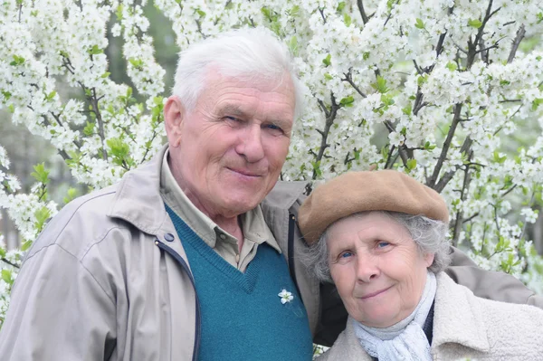 Casal velho feliz contra um fundo de jardim florido — Fotografia de Stock