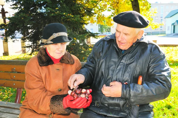 Dvojice senior — Stock fotografie