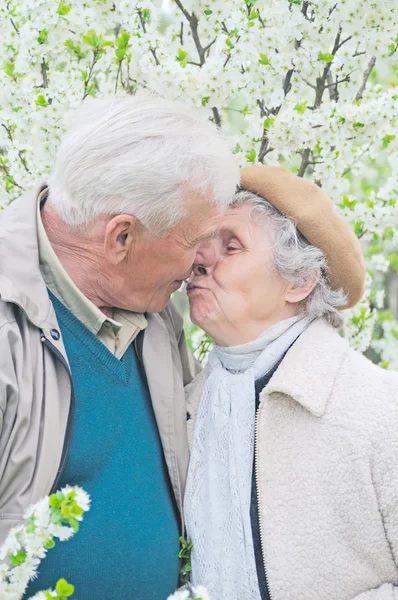 Szczęśliwa para starych — Zdjęcie stockowe