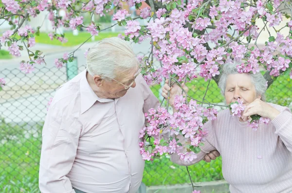 Yaşlı kadın koku çiçek — Stok fotoğraf