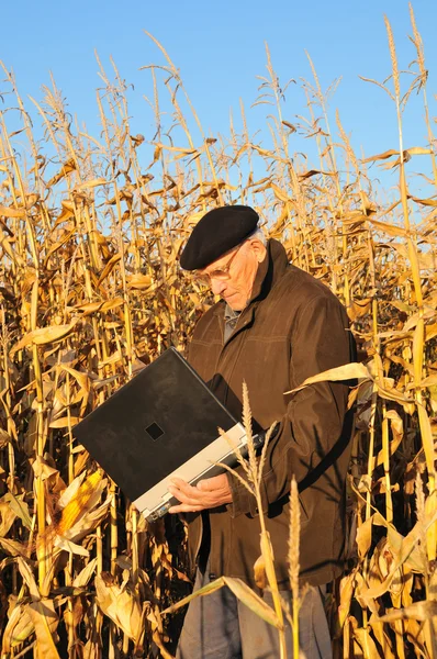Vecchio agricoltore in campo — Foto Stock