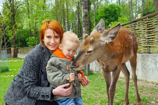 Mother and son pet a deer — Stock Photo, Image