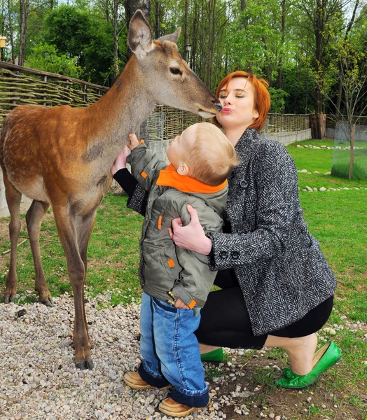 Young mother and son pet deer — Stock Photo, Image