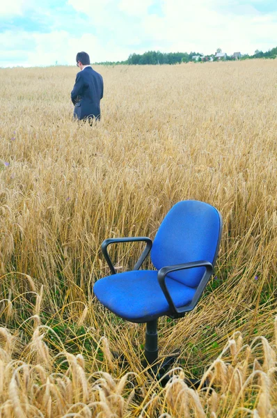 Businessman in field — Stock Photo, Image