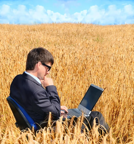 Succesvolle zakenman werkt in veld op notebook — Stockfoto