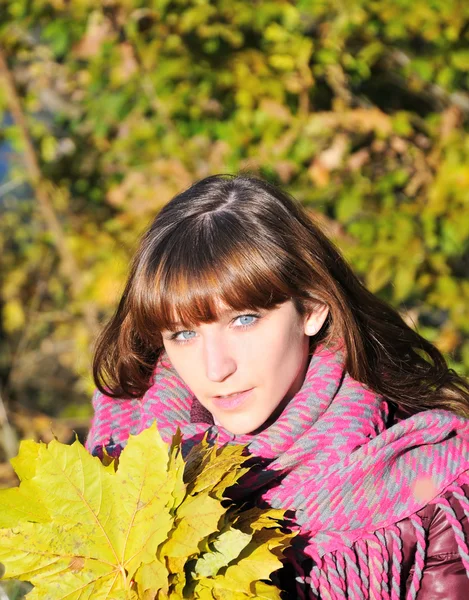 Akçaağaç yaprakları ile şirin kız — Stok fotoğraf