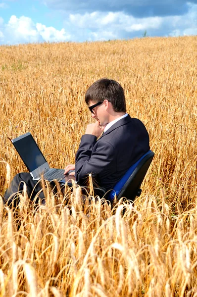 Young successful businessman works in field on notebook — Stock Photo, Image