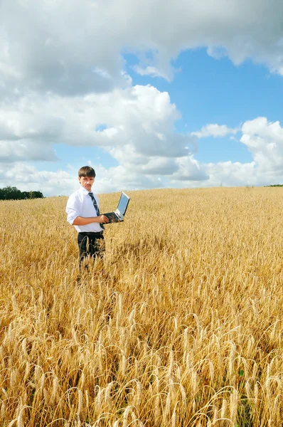 Young adult businessman in the field — Stock Photo, Image