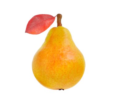 Fresh pear with red leaf clipart