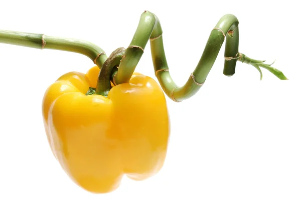 Yellow paprika suspended on bamboo — Stock Photo, Image