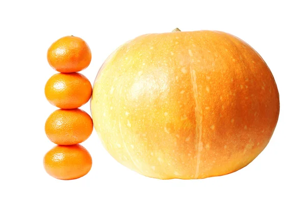 Mandarins and pumpkin side by side — Stock Photo, Image