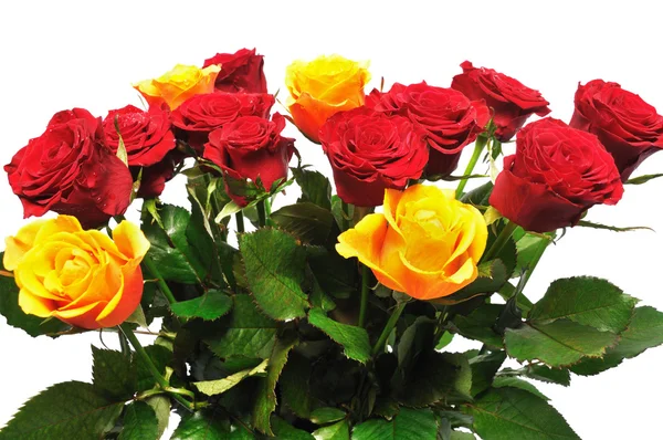 Rosas bouquet — Fotografia de Stock