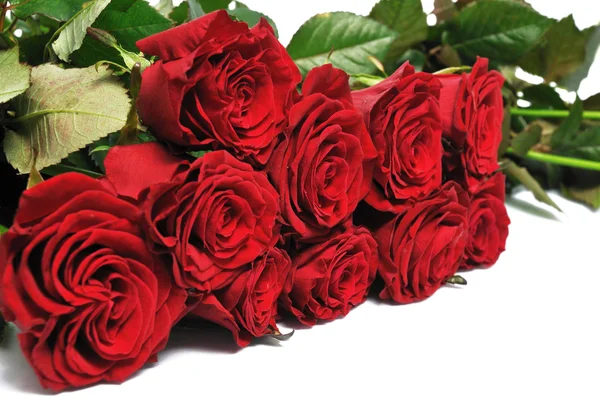 Bouquet rosa rossa — Foto Stock