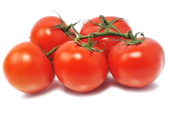 Cinco tomates — Fotografia de Stock