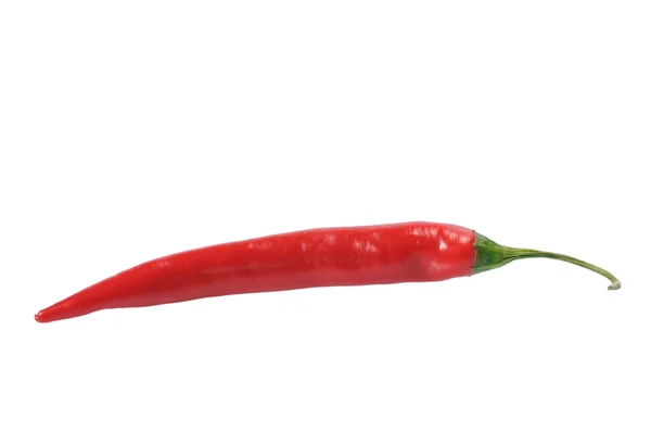 Uma pimenta — Fotografia de Stock