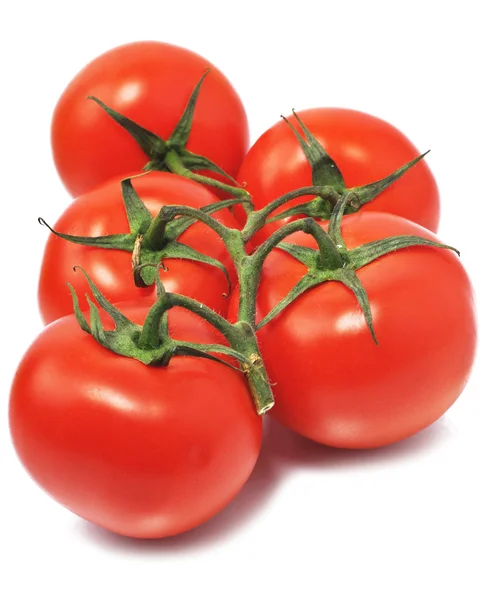 新鲜的西红柿 — 图库照片