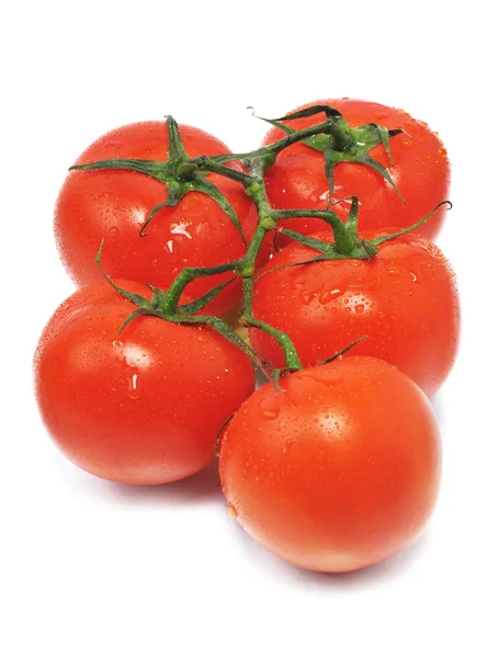 Pět červených čerstvých rajčat — Stock fotografie