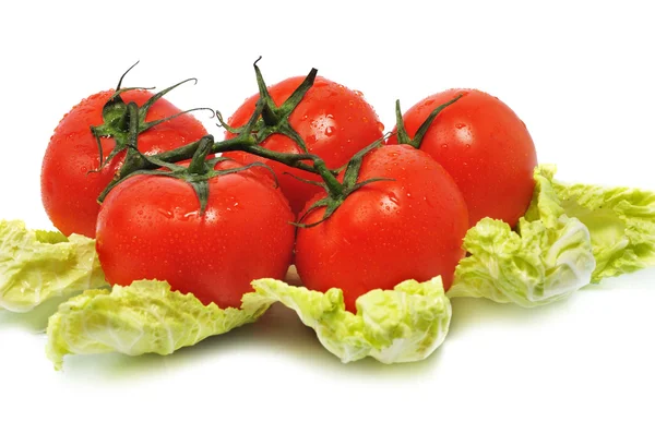 叶白菜与成熟番茄 — 图库照片