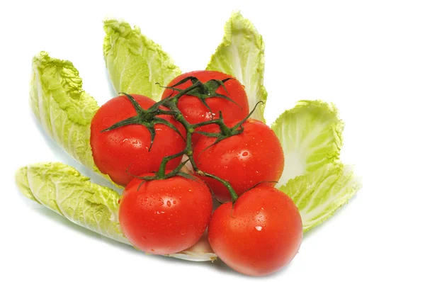 Tomates com repolho de folhas — Fotografia de Stock