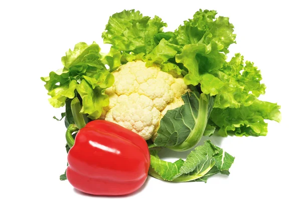 Dojrzałe, świeże warzywa — Zdjęcie stockowe