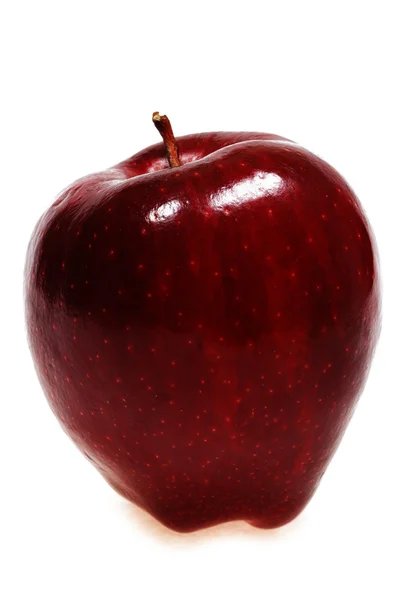 Jedno jabłko dojrzałe — Zdjęcie stockowe