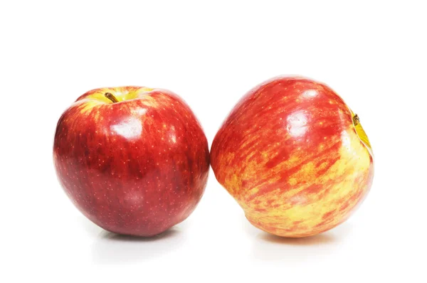 Två färska röda äpplen — Stockfoto