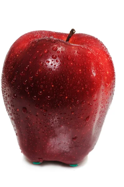 Manzana única —  Fotos de Stock