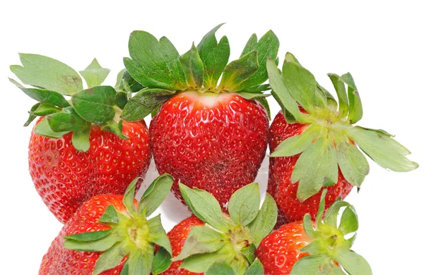 Wenige Erdbeeren — Stockfoto