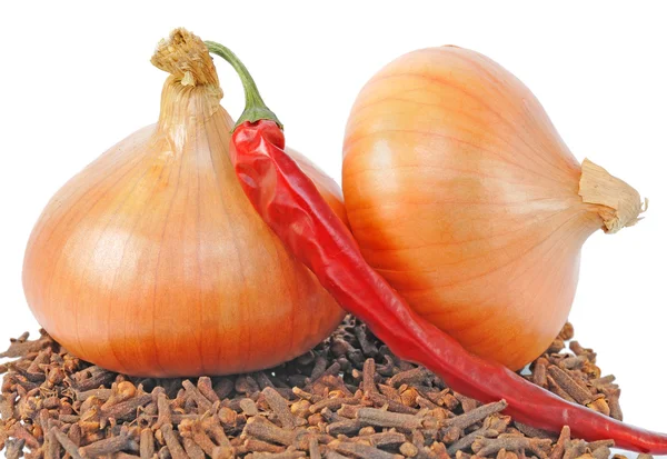 Onions lie on condiment — Stock Photo, Image
