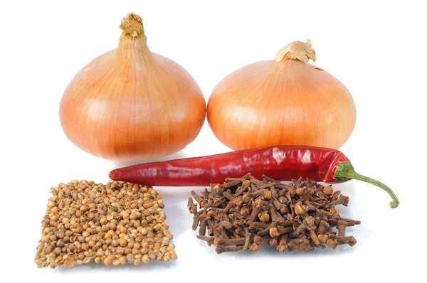 Onion with condiment — Stock Photo, Image