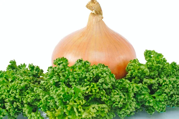 One onion with parsley — Stock Photo, Image