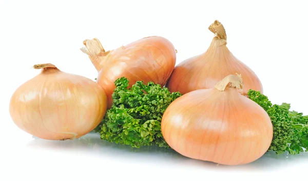 Four onions — Stock Photo, Image