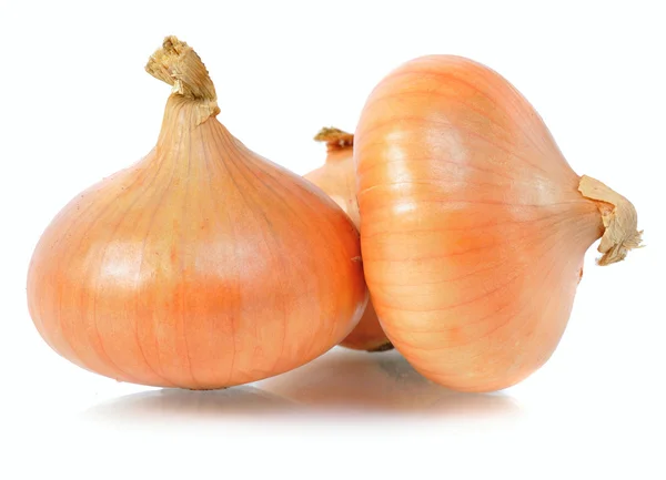Few onion — Stock Photo, Image