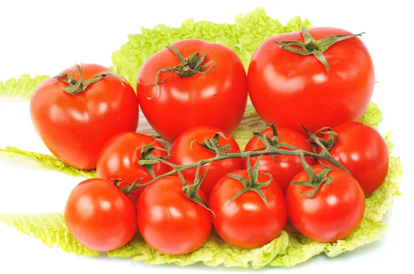 Poucos tomates — Fotografia de Stock