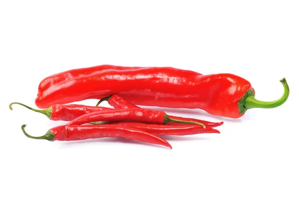 Eine große rote Paprika — Stockfoto