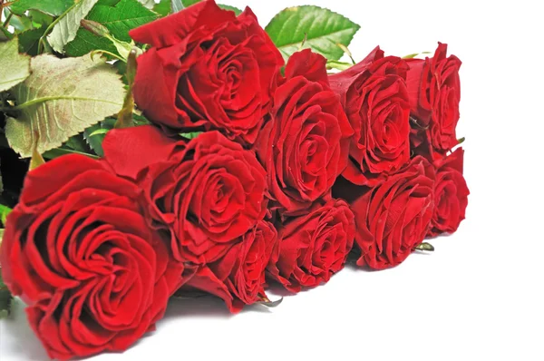 Rosas rojas lindo ramo — Stockfoto