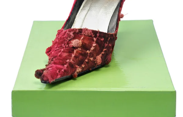 Una scarpa donna — Foto Stock
