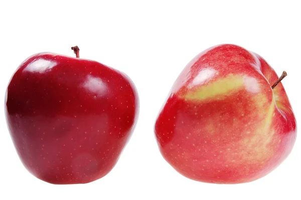 Дві свіжі яблука — стокове фото