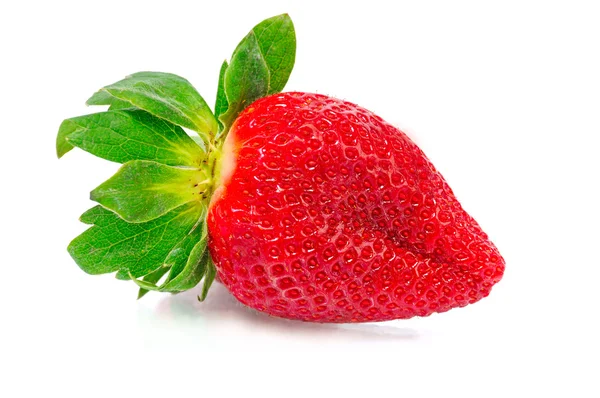 Eine reife Erdbeere — Stockfoto