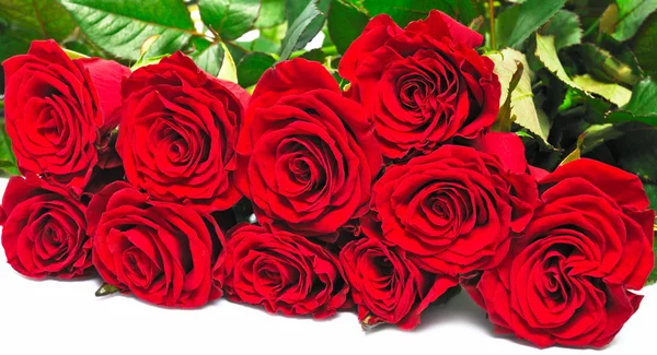 Grote boeket rode rozen — Stockfoto