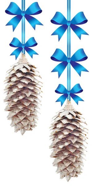 Pine cones with blue bows — Stock Photo, Image