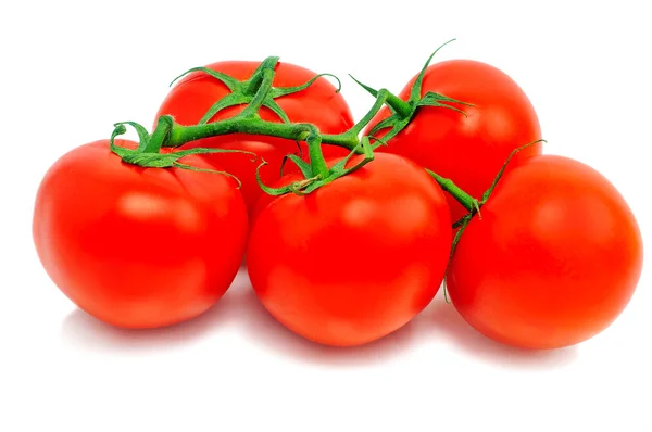 Tomates-tronco — Fotografia de Stock