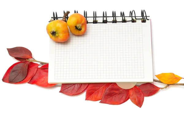 Cuaderno con marcador de hojas rojas — Foto de Stock