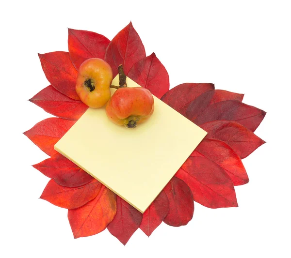 नोटबुकवर दोन सफरचंद आणि लाल पाने हृदय — स्टॉक फोटो, इमेज