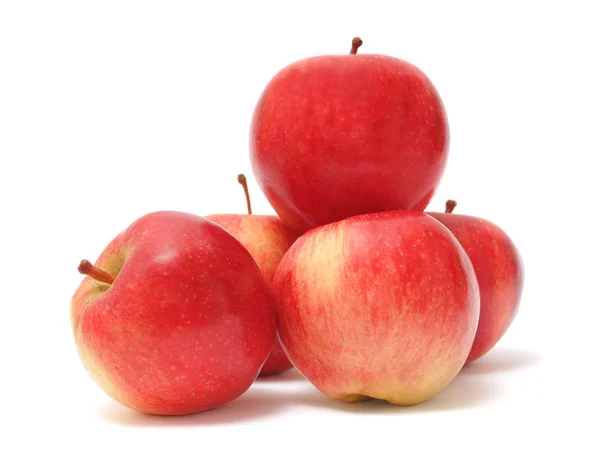 stock image Red apples on white background