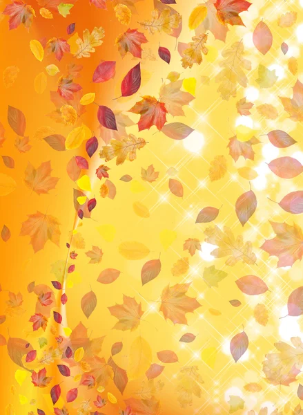 Gewirbelte Herbstblätter auf buntem Hintergrund — Stockfoto