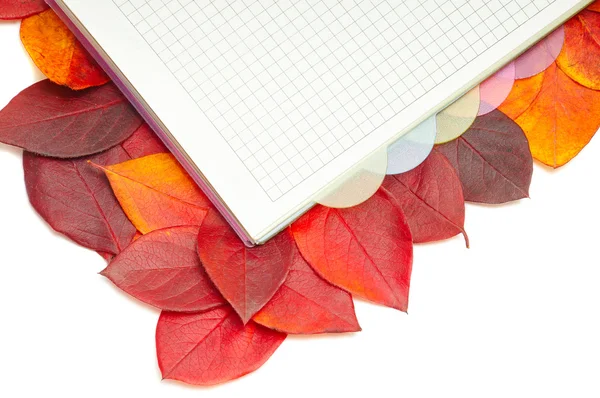 Quaderno sulle foglie rosse — Foto Stock