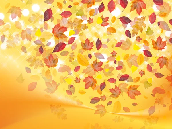 Megpördült őszi levelek — Stock Fotó