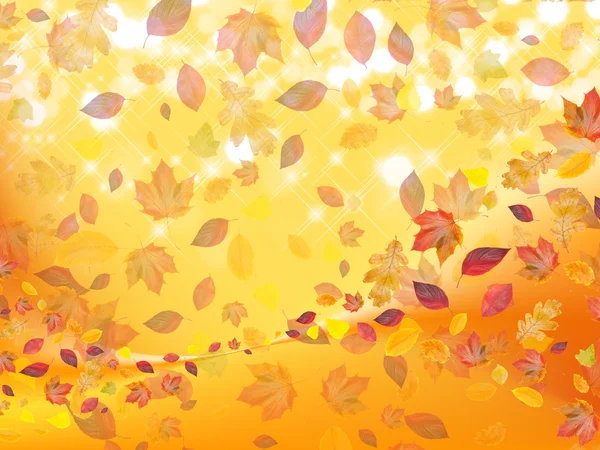 Folhas de outono giradas — Fotografia de Stock