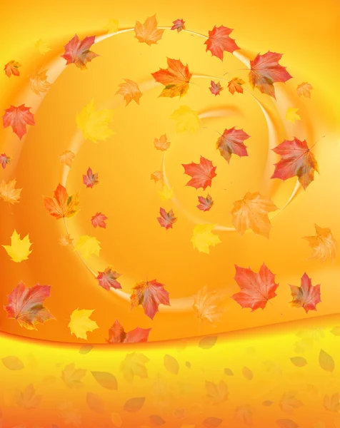 旋转的秋天枫叶 — 图库照片